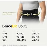 BRACEUP L/XL ledveni pas za podporo hrbtu | Shoptok.si