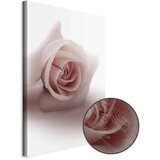  Slika - Floral Glamour Glow (1-part) - Delicate and Pastel Pink Rose 40x60 | shoptok.hr