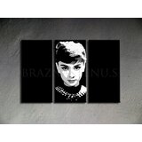  Ročno izdelana slika POP Art Audrey HEPBHURN 3-delna (POP ART) | Shoptok.si