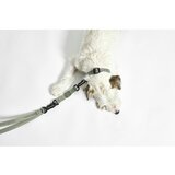 MiaCara Zeleni ogrlica M/L dužina 35 cm Modena Grolive M/ML – | shoptok.hr