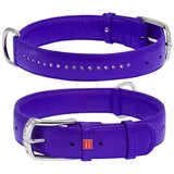 CLR WD Ljubičasta A2202578-Ogrlica za pse 27–36 cm | Eponuda.com