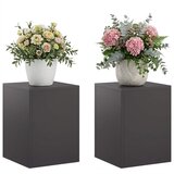  Stalak za biljke 2 pcs Crna 30 x 30 x 40 cm Čelik | shoptok.hr