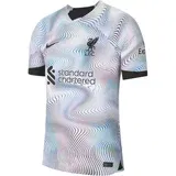 Nike LFC M NK DF STAD JSY SS AW Muški nogometni dres, mix, veličina