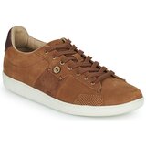 Faguo hosta smeđa | shoptok.hr