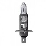 Halogena SIJALICA H1 P14,5S 12V/55W | Eponuda.ba