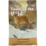 Canyon River Feline - 6,6 kg