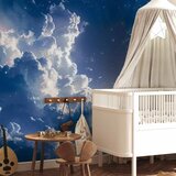  Foto tapeta - Starry Clouds and Delicate Light Over a Corner of the Sky 294x210 | shoptok.hr