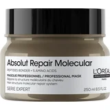 L´Oréal Paris professionnel Serie Expert Absolut Repair Molecular Maska 250ml