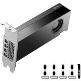 Pny NVIDIA Quadro RTX 2000 ADA 16GB VCNRTX2000ADA-PB | ePonuda.com