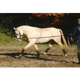 Busse Lonžirni pripomoček COTTON - M Cene