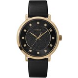 Timex Analogne ure ty577140 Pozlačena Cene