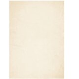 Maison Chic Preproga, Rug s kratkimi vlakni mehka pralna krem 200x280 cm, (22121034) | Shoptok.si