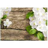  Tapeta - Raw beauty 400x280 | shoptok.hr