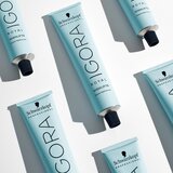 Schwarzkopf Professional IGORA Royal Highlifts barvna krema za hladne blond odtenke odtenek 10-4 60 ml | Shoptok.si