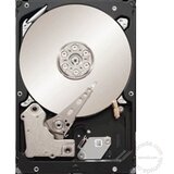Seagate ST250DM001 hard disk | ePonuda.com