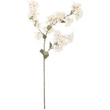 Bloomingville Umetna rastlina (višina 100 cm) Myrtle – Cene
