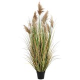 GYNERIUM PAMPAS 150CM | Eponuda.ba