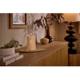 WoodWick Hazelnut Roast dišeča sveča z lesenim stenjem 610 g | Shoptok.si