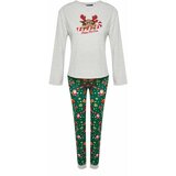 Trendyol Gray Christmas Theme Tshirt-Pants and Knitted Pajamas Set Cene