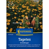 KIEPENKERL Tagetes "Single Gold" (Nematodenkiller) - 1 pkt.