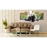  Slika - Cute Panda Bear 200x100 | shoptok.hr
