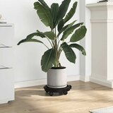 Kolica za biljke s kotačima 5 kom promjer 30 cm crna 170 kg | shoptok.hr