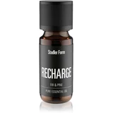Recharge Jedle & Borovice esencijalno ulje 10 ml