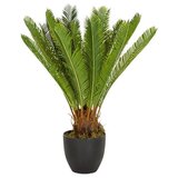 MID.YOU Umetna Rastlina Cycas | Shoptok.si