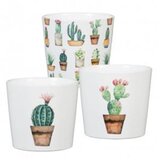 Scheurich saksija 870/07 cacti, carla, carlos sh 61877 | ePonuda.com