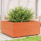vidaXL vrtno cvetlično korito voščeno 110x110x49,5 cm trdna borovina, (21204397) | Shoptok.si
