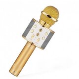 RIFF Karaoke mikrofon WS-858 z zvočniki AUX in mikro SD zlato, (21279972) | Shoptok.si