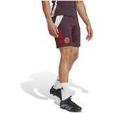 Adidas IS9949 Smeđa | shoptok.hr