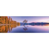 Clementoni Jezero Wanaka Tree sestavljanka/puzzle, 1000 kosov | Shoptok.si