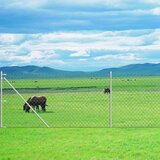  Mrežna ograja s stebrički koničasta pocinkano jeklo 15x1,5 m, (20831348) | Shoptok.si