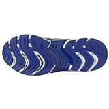 Adidas Climacool Ventania sarena | shoptok.hr