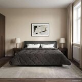  Poletna odeja Antracit 200 x 200 cm Mikrofibra in Teddy flis, (5000284334) | Shoptok.si