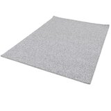 Universal Svijetlo sivi tepih 120x170 cm Petra Liso – | shoptok.hr