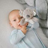 BabyOno ropotuljica koala Coco | Shoptok.si