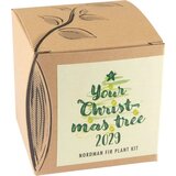  Za gojenje/GrowKit "Vaše božično drevo 2029" | Shoptok.si