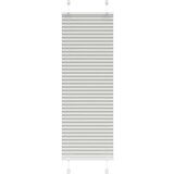 vidaXL Plisirana roleta svijetlosiva 40x150 cm širina tkanine 39,4 cm | shoptok.hr