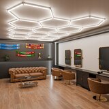  LED prigušiva stropna svetiljka HEXAGON LED/570W/85-265V 5000K CRI 90 IP54 bela | Eponuda.com