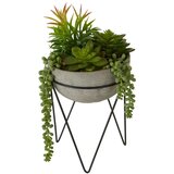 Premier Housewares Umetna sukulenta v sivem lončku Fiori Cene