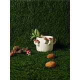 Sinsay Tegla za biljke | shoptok.hr