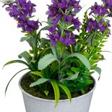 Casa Selección Umetna sivka (višina 30 cm) Lavender – | Shoptok.si