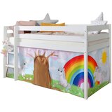 MID.YOU POGRAD | Shoptok.si