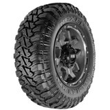 Nexen roadian MTX ( 265/70 R17 121/118Q 10PR, POR ) Cijene