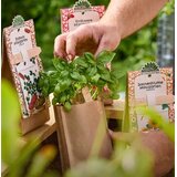  Minigarten: Set za vzgojo - jagode | Shoptok.si
