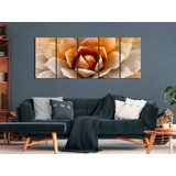  Slika - Agave (5 Parts) Narrow Orange 200x80 | shoptok.hr