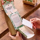  Minigarten: Set za vzgojo - jagode | Shoptok.si