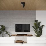 Nice Lamps Crna stropna svjetiljka Castro – | shoptok.hr